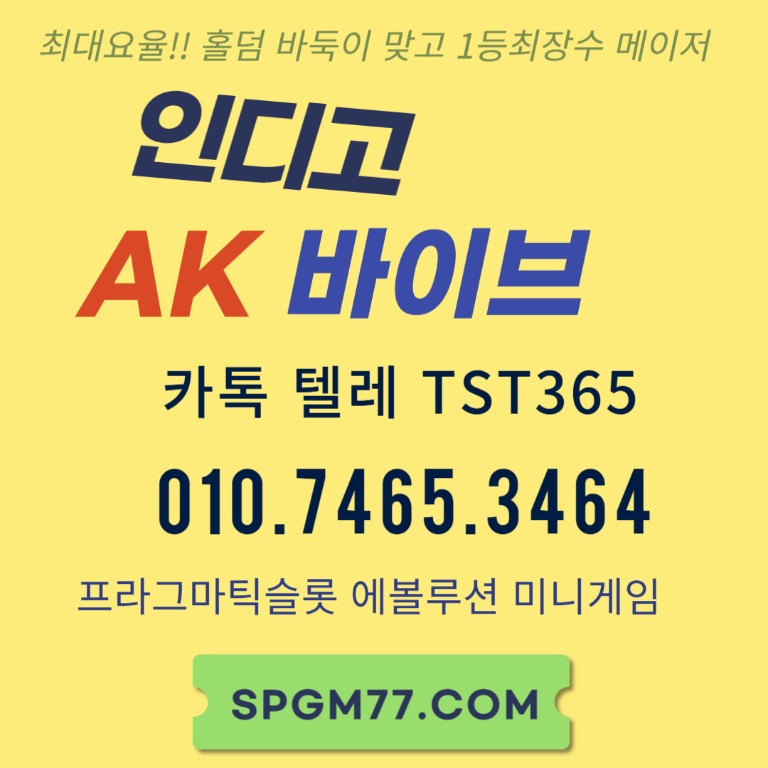 펀치바둑이